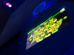 IMG_536827.jpg