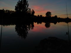 IMG_20190724_212034.jpg