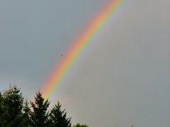 P1080855a.jpg
