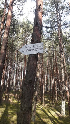 20190828_143956.jpg