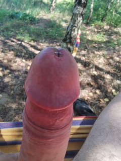 IMG_20190730_130145.jpg