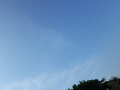 20190831_114710.jpg