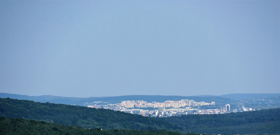 _1080776a.jpg - FoKam431