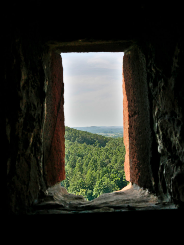 _1080784.jpg - FoKam431