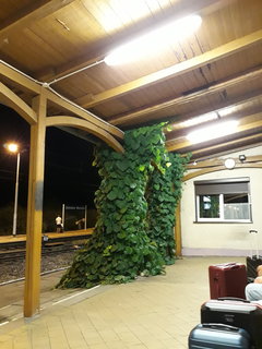20190831_213417.jpg