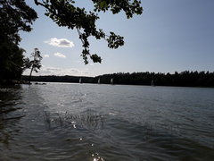 20190714_161819.jpg