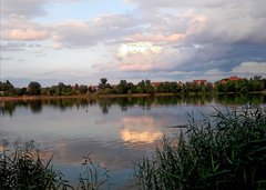 20190905_181037.jpg