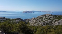 IMG-20190818-WA0002.jpeg