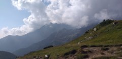 20190831_101414.jpg