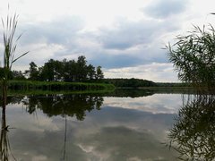 IMG_20190908_125151_751.jpg