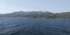 IMG_20190910_071229.jpg