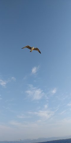 IMG_20190910_070807.jpg