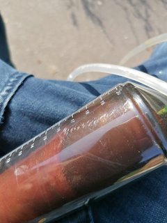 IMG_20190911_092255.jpg