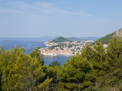20190911_103030.jpg