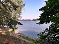 20190911_175042.jpg
