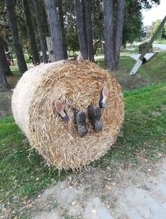 FB_IMG_1568288713683.jpg
