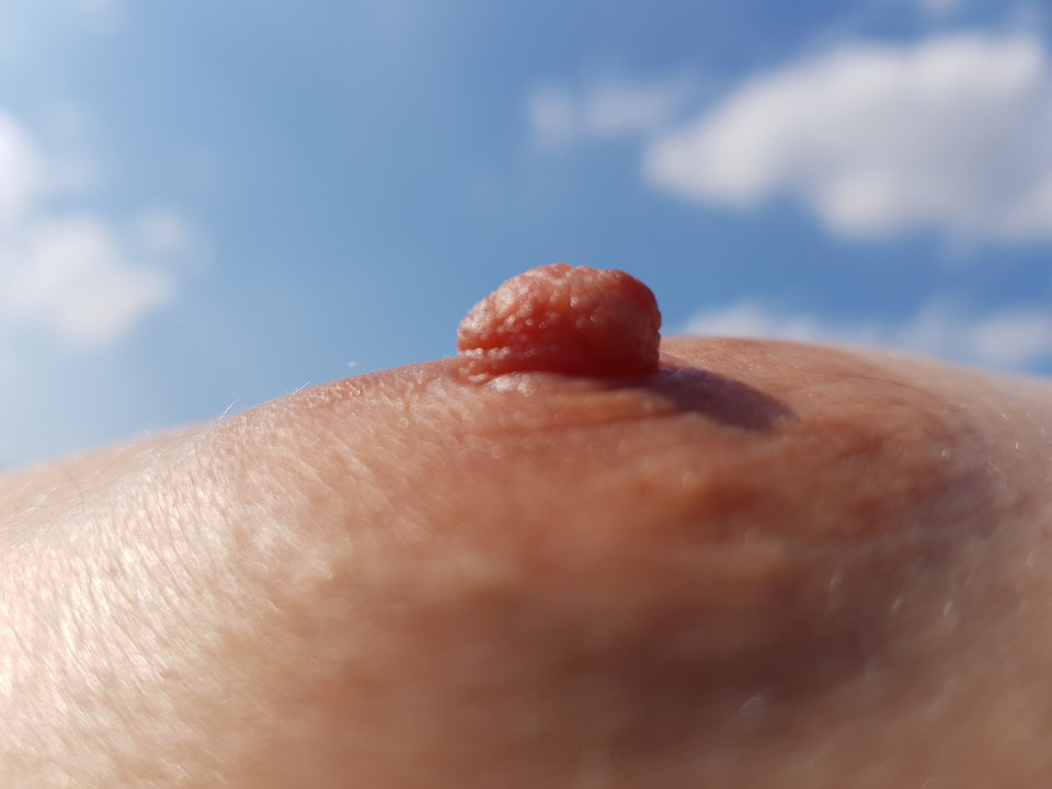 20190912_132155.jpg - pawsexan
