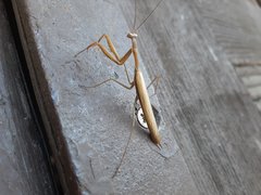 20190912_110454.jpg