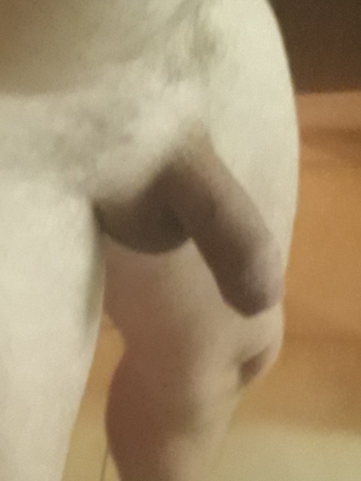 20190913_092706.jpg - Veget