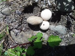 20190913_121107.jpg
