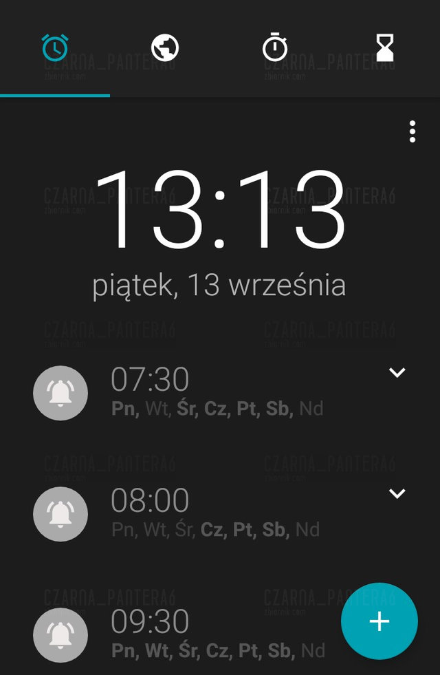 czarna_pantera6