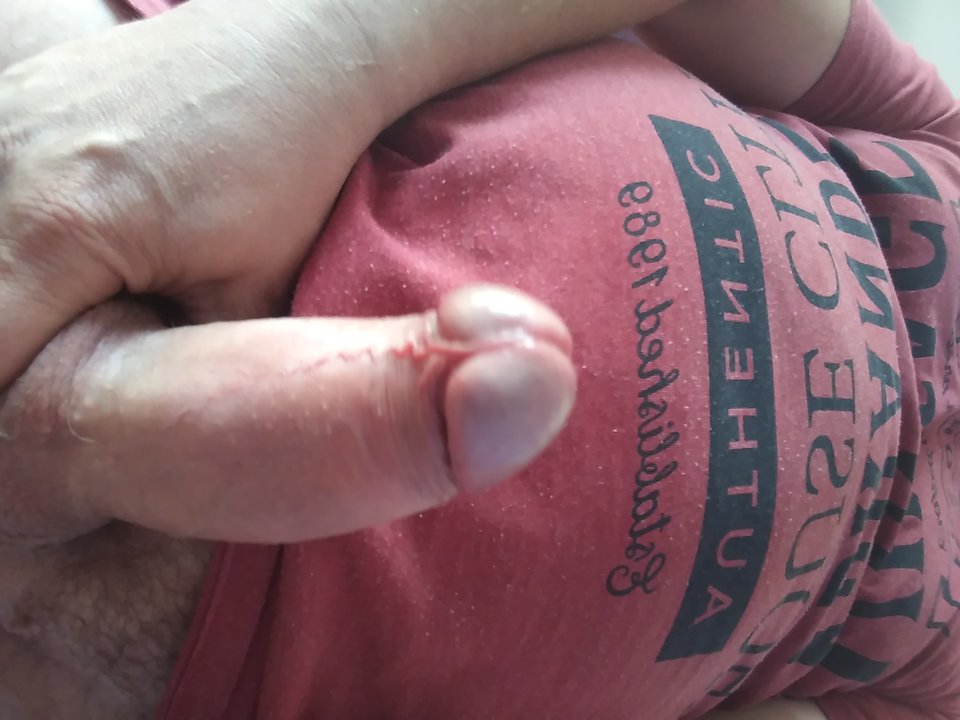 15683748810206797704219976100396.jpg - tomcio31