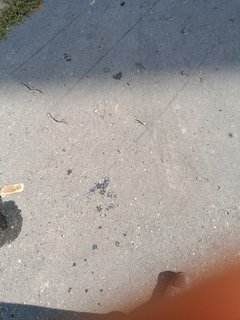 IMG_20190911_092943.jpg