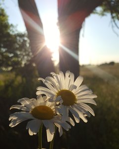 20190603_222245.jpg