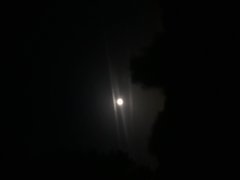 20190914_214023.jpg