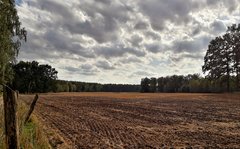 20190917_105341.jpg