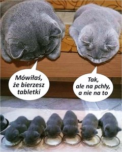 FB_IMG_1568012966034.jpg