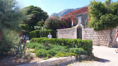 20180707_160917.jpg