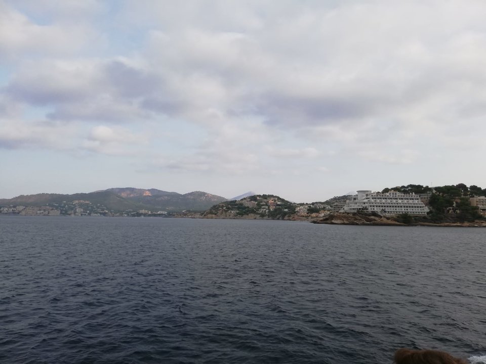 IMG-20190916-WA0020.jpg - jak2109