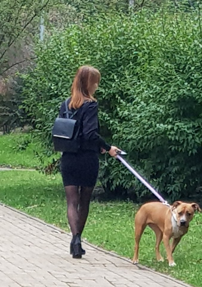 20190921_133902.jpg - iPantyhose