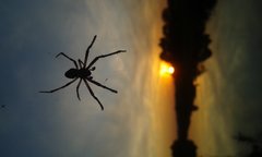 20190922_181801.jpg