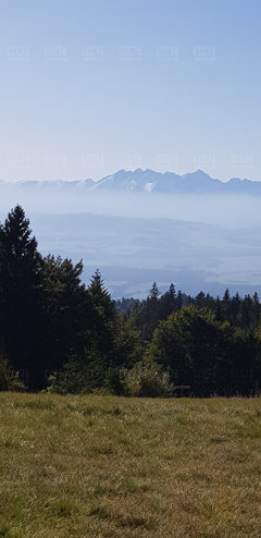 20190921_100833.jpg
