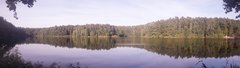 20190923_084317.jpg