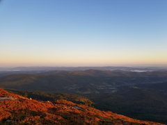 20190922_063819.jpg