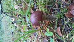 20190922_074327.jpg