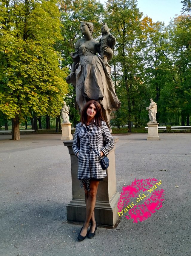 trans_ola_waw
