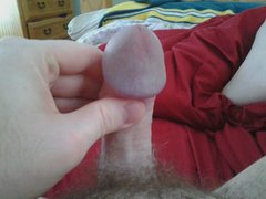 Penis_with_Pubic_Hair.jpg