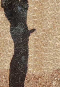 20190830_001836.jpg