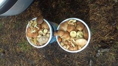 20190919_105254.jpg