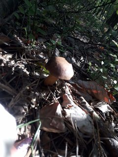received_928711630824220.jpeg