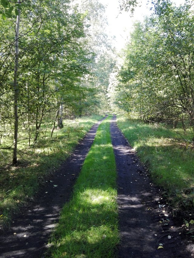 milutki29_
