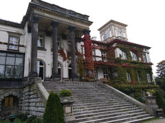 IMG_20190926_084457.jpg