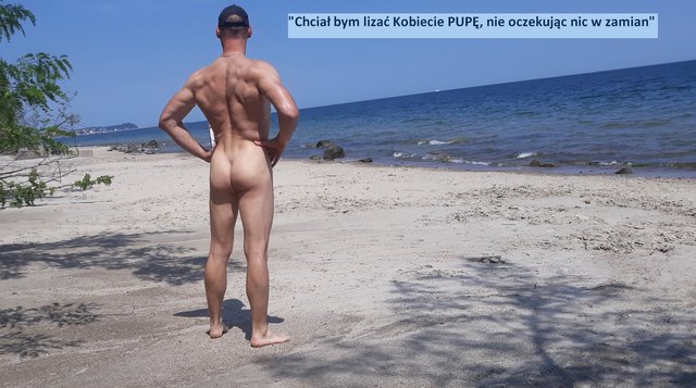 pomorski_misiek
