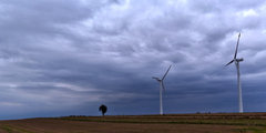 DJI_0400.jpg