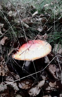 20190928_080350.jpg