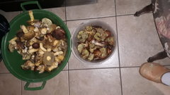 IMG-20190927-WA0021.jpeg